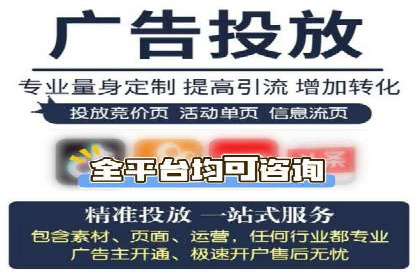 某品牌通过百度竞价提升线上销售业绩的案例